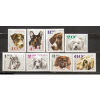 ФФ1 Польша 1969 Собаки