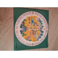 Интурист журнал