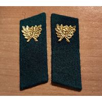 Петлицы лесника СССР