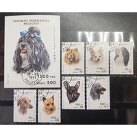 Мадагаскар. 1991 год. Фауна. Собаки (1233)