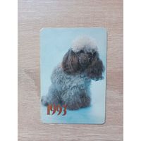 Календарик 1993