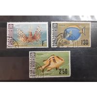 Танзания. 1967 год. Фауна. Рыбы (47)