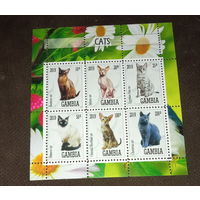 СЕРИЯ БЛОКОВ  СОБАКИ КОШКИ  фауна   MNH