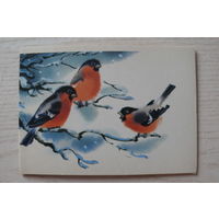 Каневский В., С Новым годом! 1987, двойная, подписана (снегири).