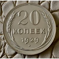 20 копеек 1929 года.