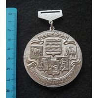 Медаль. Белорусский республиканский совет по туризму и экскурсиям. Минск. Белоруссия. Чемпионат по туризму. В белом металле. (ch-R)