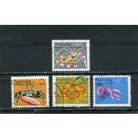 Австралия. Морская фауна