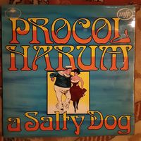 PROCOL HARUM - 1971 - A SALTY DOG (UK) LP