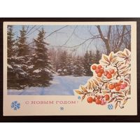 Раскин С Новым годом 1975 подписанная открытка СССР