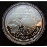 1 доллар 1996 Канада! Серебро 25,17 грамма 925 пробы 0,749 унции! Яблоки Мекинтош McINTOSH! ВОЗМОЖЕН ОБМЕН!