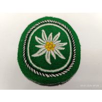 Шеврон горно-пехотной дивизии Эдельвейс