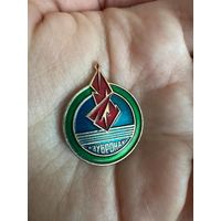 Зубрёнок значок зубронак