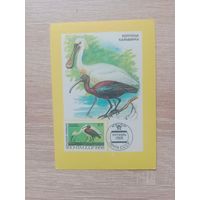 Календарик 1991