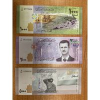 Сирия набор 50, 100, 200, 500, 1000, 2000, 5000 фунтов 2021 г. -8,50 (2)