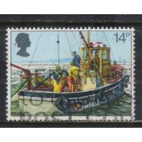 Великобритания 1981 EII Год рыбака #891