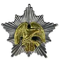 Знак В память о службе в 38-й ОДШБр