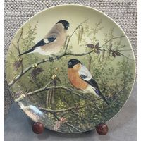 Декоративная настенная тарелка Tirschenreuth Свидание в березовой роще. Из серии Самые красивые портреты птиц Карла-Ганса Бёзе. Германия 1995 год. 19.5 см