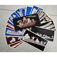 Открытки Искусство косторезов Чукотки