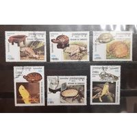 Камбоджа. 2000 год. Фауна. Рептилии. Черепахи (1104)