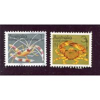 Австралия. Морская фауна