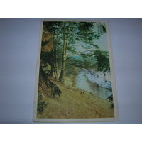 Телеграмма 1965 год Природа Серия В-22. Подписана Бобруйск 06.03.1968