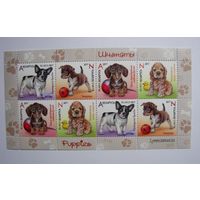 Марки РБ. Щенки. 2017
