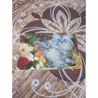 Календарик,коты,укрвина,2011