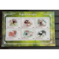 СЕРИЯ БЛОКОВ  СОБАКИ КОШКИ  фауна   MNH