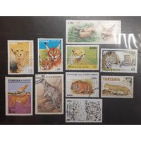 Сборный лот. Фауна. Дикие кошки. 10 марок (722)