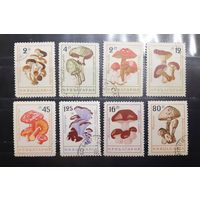 Болгария. Флора. Грибы (951)