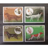 Болгария. 1985 год. Фауна. Собаки (4 марки из серии)