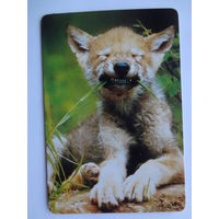 Календарик 1997 г. Лисенок.