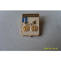 ЗНАЧОК  ГЕРБ " СЕНГИЛЕЙ"  УЛЬЯНОВСКАЯ  ОБЛАСТЬ  РОССИЯ