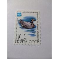 СССР 1982 МЕЖДУНАРОДНЫЙ ОРНИТОЛОГИЧЕСКИЙ КОНГРЕСС