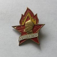 Пионер Монголия