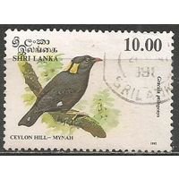 Шри Ланка. Птицы. Священная майна. 1993г. Mi#1036.