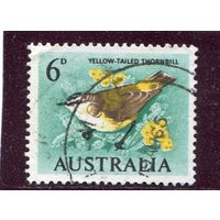 Австралия. Птица. Номинал 6d