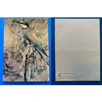 Открытки СССР 1985-1988 гг. фауна птицы