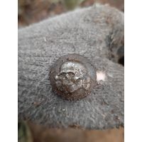 Очень редкий лот по электрикам