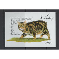 Афганистан /AFGHAN 1997** Фауна Кошки Блок