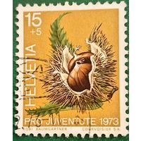 Швейцария 1973. Съедобный каштан Castanea Sativa