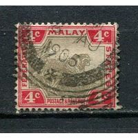 Федеративные Малайские штаты - 1904/1922 - Тигр 4С - [Mi.29b] - 1 марка. Гашеная.  (Лот 73Gv)-T4P17