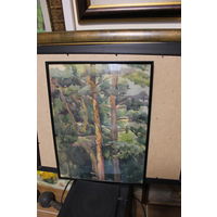 Авторская работа Драненко Н.А. 1980, акварель "Сосновый лес" размер по раме 30Х40, бумага, оформлена в раму, подпись автора на лицевой стороне