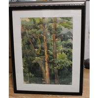 Авторская работа Драненко Н.А. 1980, акварель "Сосновый лес" размер по раме 40Х50, плотная бумага, паспарту, оформлена в раму, подпись автора на лицевой стороне