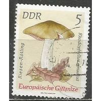 ГДР. Грибы. Антилома ядовитая. 1974г. Mi#1933.