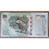 Конго (ДР) 1000 франков 2022 г., P:101b