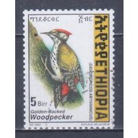 [881] Эфиопия 1998. Фауна.Птицы.Дятел. Гашеная марка.