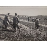 Фото ПМВ . Оборудование- заграждение из колючей проволоки, восточный фронт. Из альбома 4 армии австро-венгрии.Оригинал!