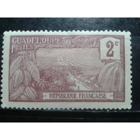 Гваделупа, 1905. Стандарт, региональные мотивы*