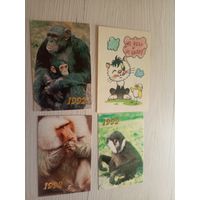 Календарики одним лотом